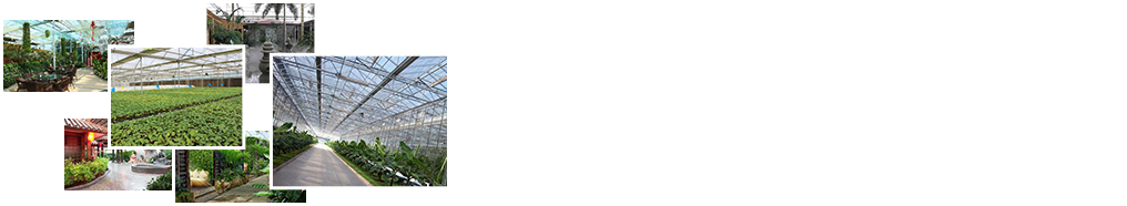 24小時(shí)免費咨詢(xún)、免費技術(shù)指導