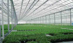 陜西蔬菜大棚安裝 陜西蔬菜大棚安裝