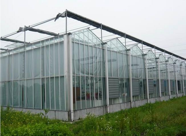 陜西連棟大棚設計施工