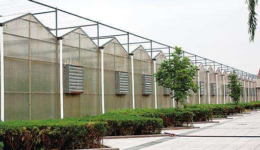 規模大，質(zhì)量好