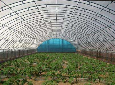 技術(shù)專(zhuān)業(yè)，服務(wù)到位