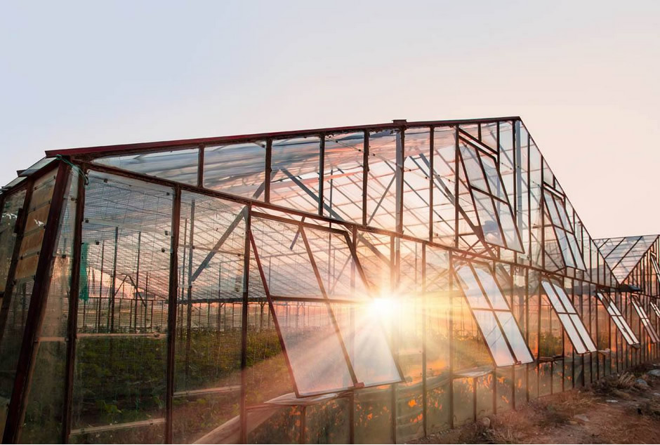 服務(wù)至上，合作長(cháng)久