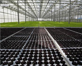 實(shí)力雄厚，品質(zhì)保證！