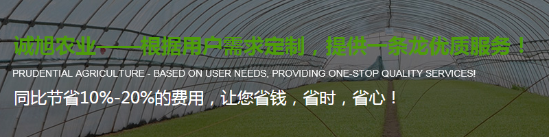 陜西溫室蔬菜大棚