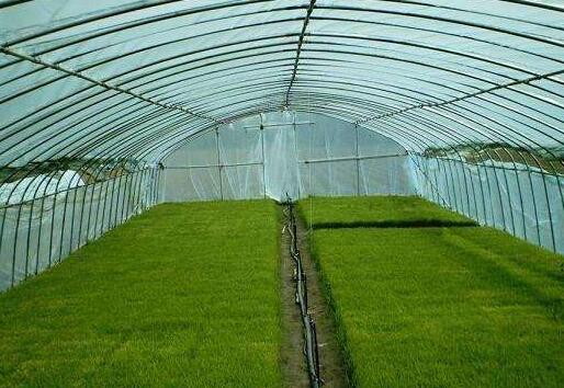 陜西溫室大棚價(jià)格