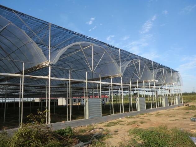 陜西溫室大棚突然遇到冰雹天氣該如何避免？